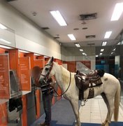 Dono leva cavalo para sacar dinheiro em agência bancária 