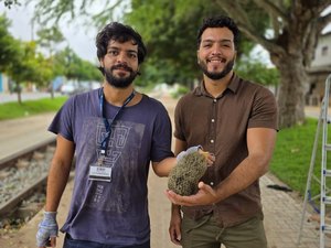 Arapiraca instala solução baseada na natureza para medir qualidade do ar