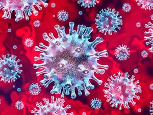 Covid-19: em 24 horas, 979 pessoas morreram e 36 mil foram infectadas
