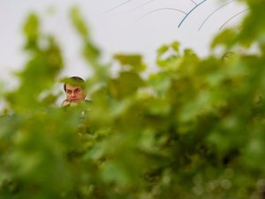 Relator da ONU acusa Brasil de desmantelar instituições e controles ambientais