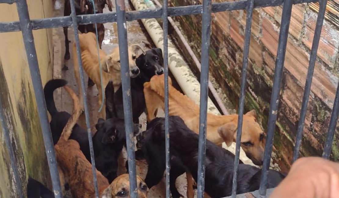 Mais de 60 animais são resgatados no Eustáqui Gomes em operação