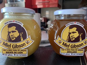 Vendedora de mel chilena dá nome de 'Miel Gibson' a produto e é notificada por violação de direitos do ator
