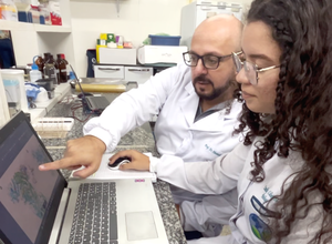 Pesquisa financiada pela Fapeal desvenda a evolução genética do vírus chikungunya em Alagoas