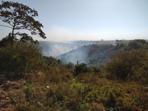 População se assusta com incêndio em vegetação e acionam bombeiros