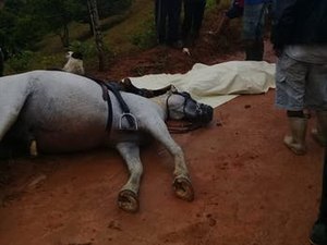 Homem recebe descarga elétrica tentando salvar cachorro e morre