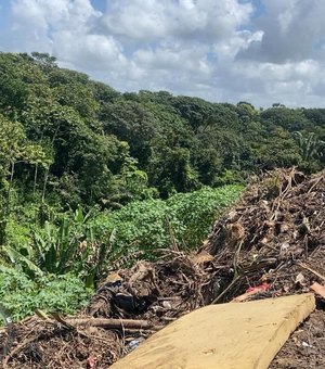 IMA multa e embarga área usada como lixão irregular na Barra de Santo Antônio
