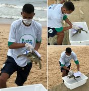 Tartaruga encalhada é resgatada com vida da praia de Cruz das Almas, em Maceió