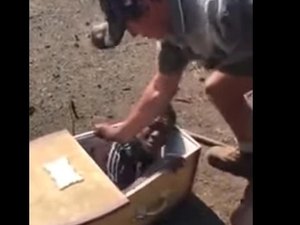Fazendeiros são detidos na África do Sul após colocarem homem negro em caixão