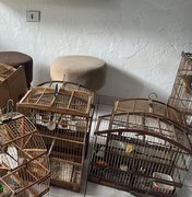 Polícia resgata 73 aves silvestres durante Operação Onda Verde em Alagoas