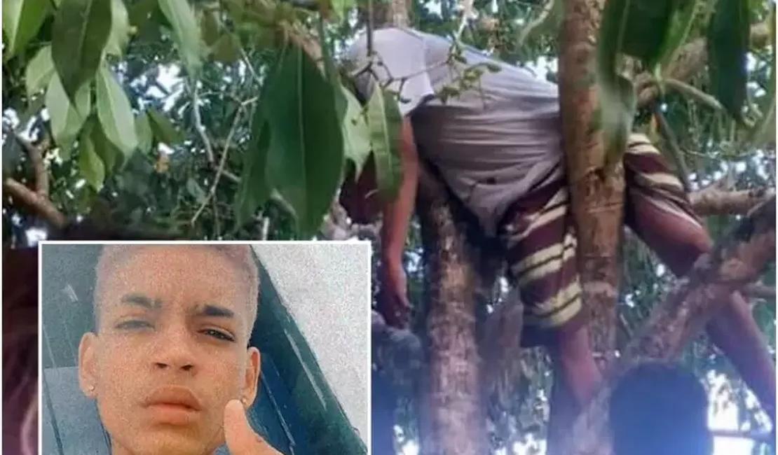 Adolescente é assassinado enquanto colhia frutas em árvore em Matriz de Camaragibe