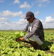 Prefeitura de Arapiraca lança feira que coloca o município no calendário agro nacional