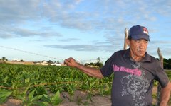 O agricultor Manuel: trabalha com fumo desde os 7 anos de idade