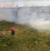 Bombeiros controlam incêndio em área de vegetação em Arapiraca