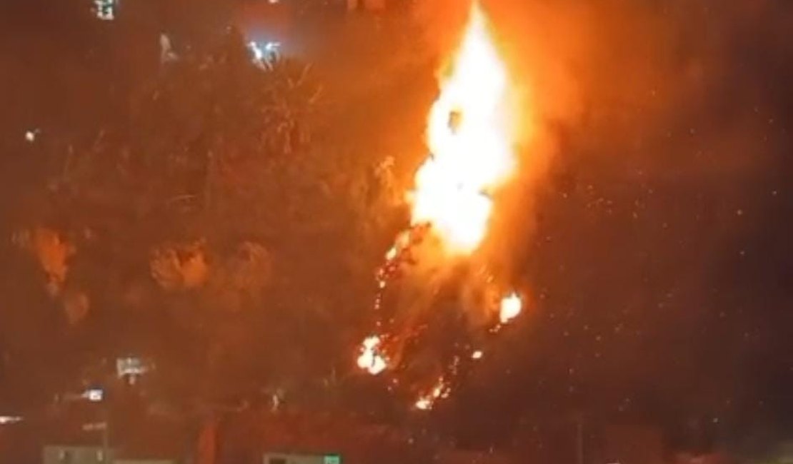 Área de mata no Vale do Reginaldo é atingida por incêndio de grandes proporções