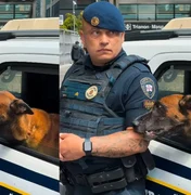 ﻿Perdeu a pose: guarda não resiste a cão pedindo carinho
