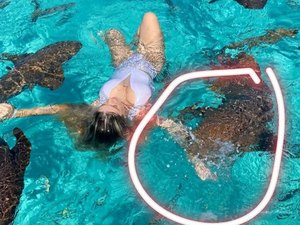 Influencer é mordida ao nadar com tubarão nas Bahamas: 'Arrancou um pedaço do meu braço'