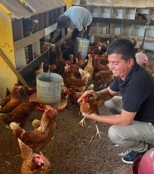 [Vídeo] Cooperativa do Agreste de AL participa de programa de capacitação em gestão da Ambev