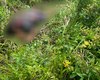 Mulher é retirada à força de casa e executada em Rio Largo
