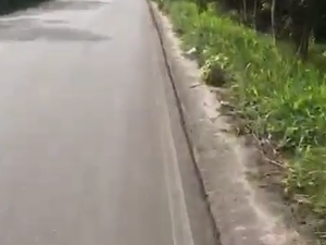 [Vídeo] Governo atende solicitação de ciclistas e faz capinagem no acostamento da AL 101 Sul