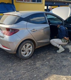 PRF prende homem em Palmeira dos Índios por receptação de veículo roubado