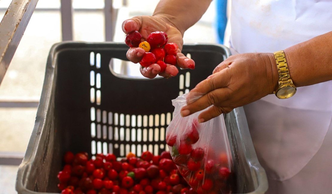 Governo de AL regulamenta Política Estadual da Agroecologia e Produção Orgânica