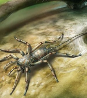 Fóssil de animal com corpo de aranha e cauda de escorpião é encontrado na Ásia