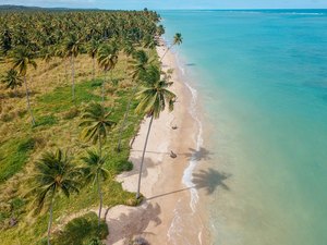 Praia do Patacho recebe hoje selo Bandeira Azul