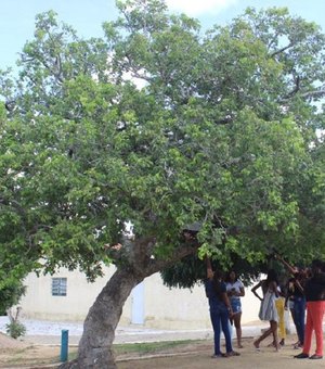 Decreto presidencial destina área para território quilombola em Alagoas