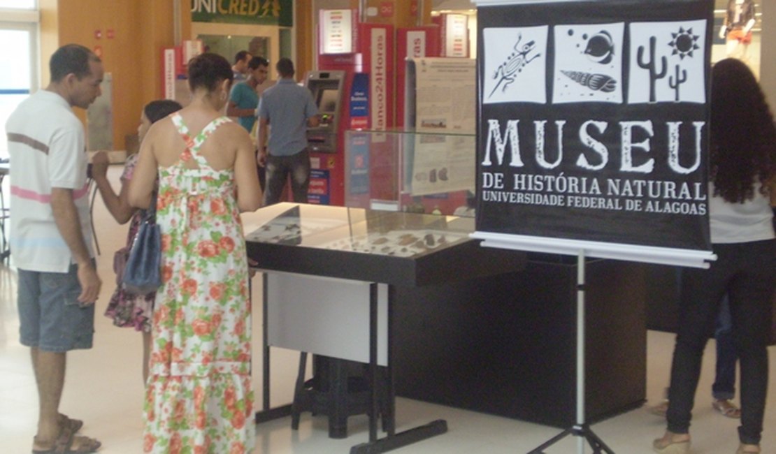Museu de História Natural da Ufal completa 25 anos