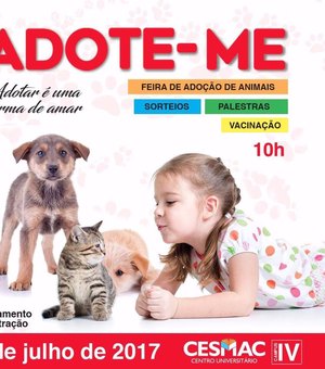 Estudantes realizam evento que reúne feira de adoção de cães e gatos, em Maceió