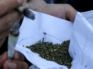 Polícia apreende quatro toneladas de maconha sob carga de milho