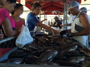 Terceira edição da Feira do Peixe Vivo incentiva produção de pescados