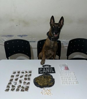 Cão farejador encontra drogas escondidas em tubulação e área de mata em Arapiraca