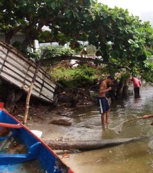 Pescadores encontram peixes e crustáceos mortos na Lagoa Manguaba