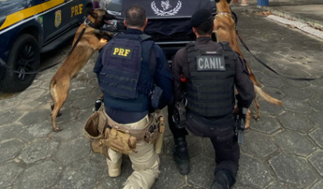 PRF apreende arma artesanal e 90 munições dentro de ônibus em São Sebastião