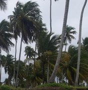 Inmet emite alerta de vendaval para todo o estado de Alagoas
