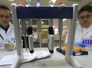 Febre amarela: nova vacina de DNA da Fiocruz PE alcança bons resultados em camundongos