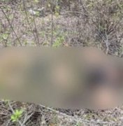 Jovem recém saído de clínica para dependentes químicos e amigo são mortos a tiros em Junqueiro