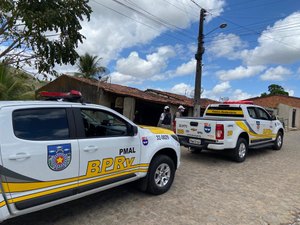 Polícia Rodoviária prende dono de bar por porte ilegal de arma