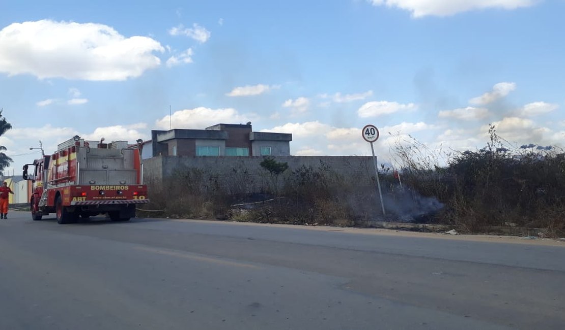 Arapiraca: bombeiros combatem incêndio em vegetação