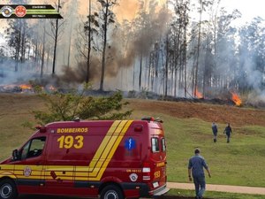 Aeronave cai no interior de São Paulo e faz vítimas