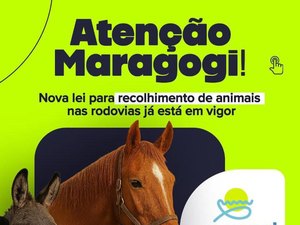 Nova Lei para recolhimento de animais nas rodovias entra em vigor em Maragogi