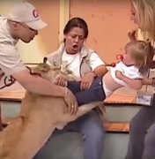 [Vídeo] Ao vivo, leão ataca criança em programa de TV mexicana
