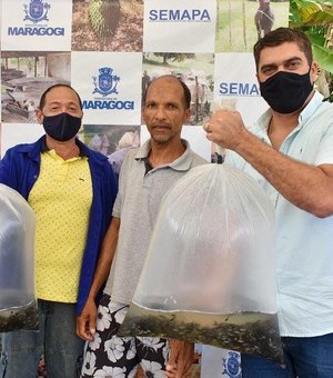 30 Mil alevinos são entregues a produtores de Maragogi