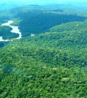 Justiça suspende atos que extinguem reserva de mineração na Amazônia