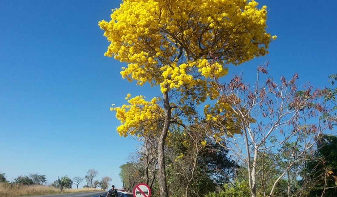 PRF intensificará fiscalizações temáticas durante o feriadão