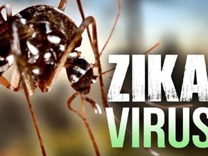 Nova síndrome congênita é descrita em crianças com zika