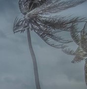 Vendaval e chuvas fortes: Alagoas entra em alerta climática até sábado (18)