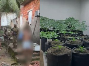Polícia estoura laboratório usado para cultivo e refinamento de maconha em Maceió