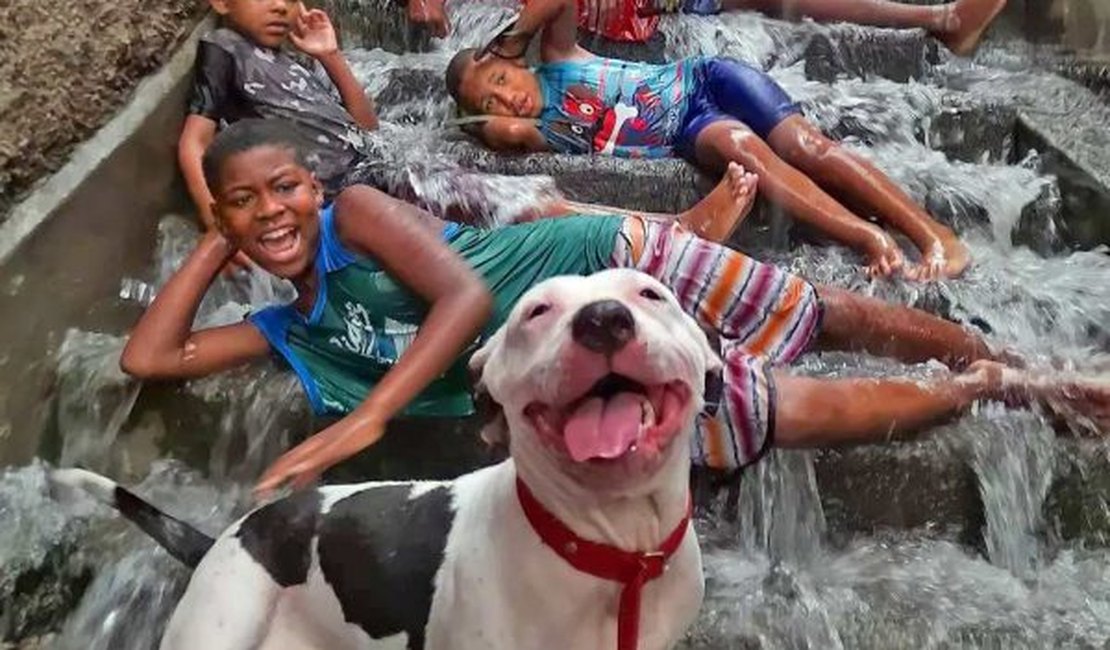 Foto de crianças e pit-bull sorrindo em banho de chuva no Rio viraliza